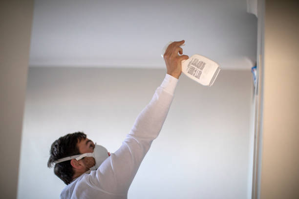 Reliable Cape Charles, VA Mold Remediation Solutions