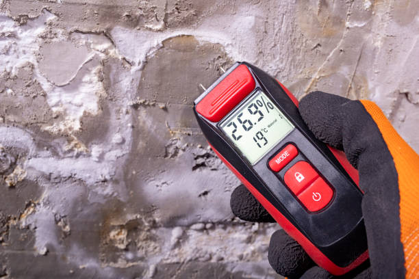 Best HVAC Mold Remediation in Cape Charles, VA